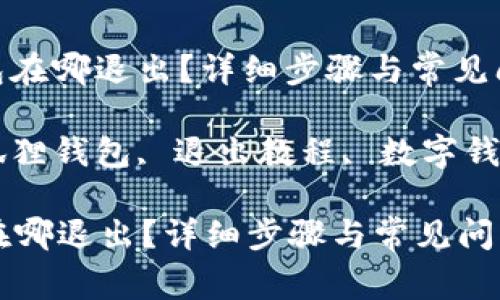 : 小狐狸钱包在哪退出？详细步骤与常见问题解析

关键词: 小狐狸钱包, 退出教程, 数字钱包, 加密货币

小狐狸钱包在哪退出？详细步骤与常见问题解析