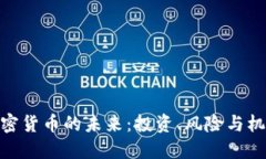 加密货币的未来：投资、风险与机遇