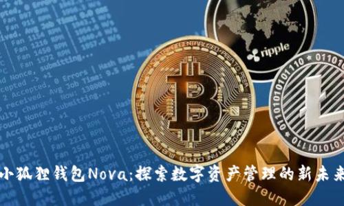 小狐狸钱包Nova：探索数字资产管理的新未来