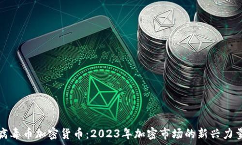   
病毒币加密货币：2023年加密市场的新兴力量