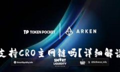小狐狸钱包支持CRO主网链吗？详细解读与实用指