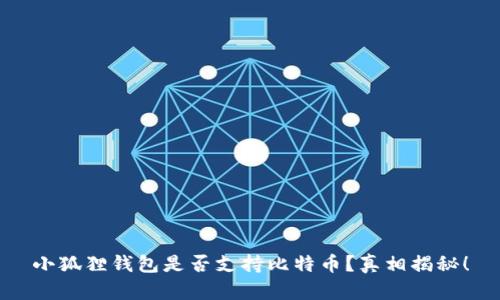 小狐狸钱包是否支持比特币？真相揭秘！