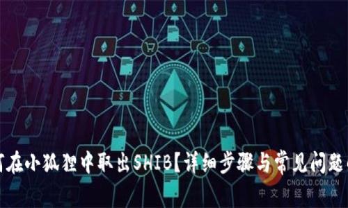 如何在小狐狸中取出SHIB？详细步骤与常见问题解答