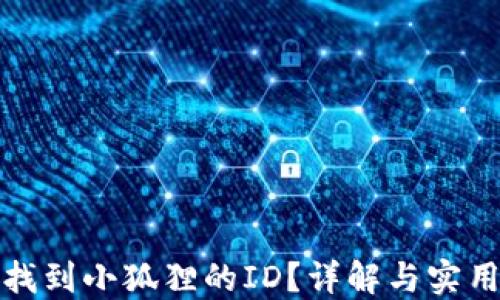 
如何找到小狐狸的ID？详解与实用技巧